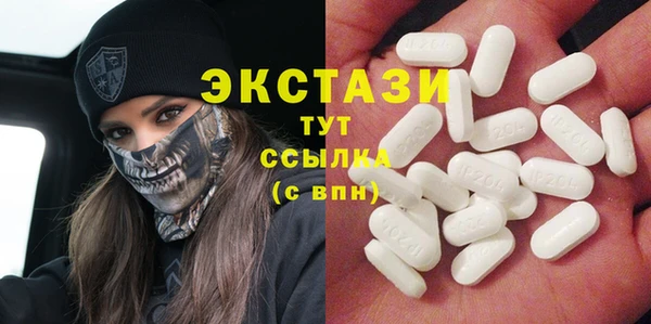 ECSTASY Богородицк