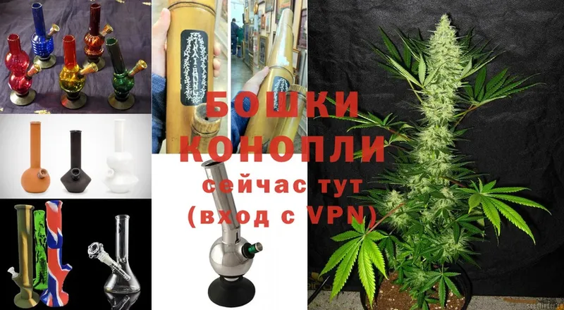 Марихуана White Widow  blacksprut   Электрогорск 